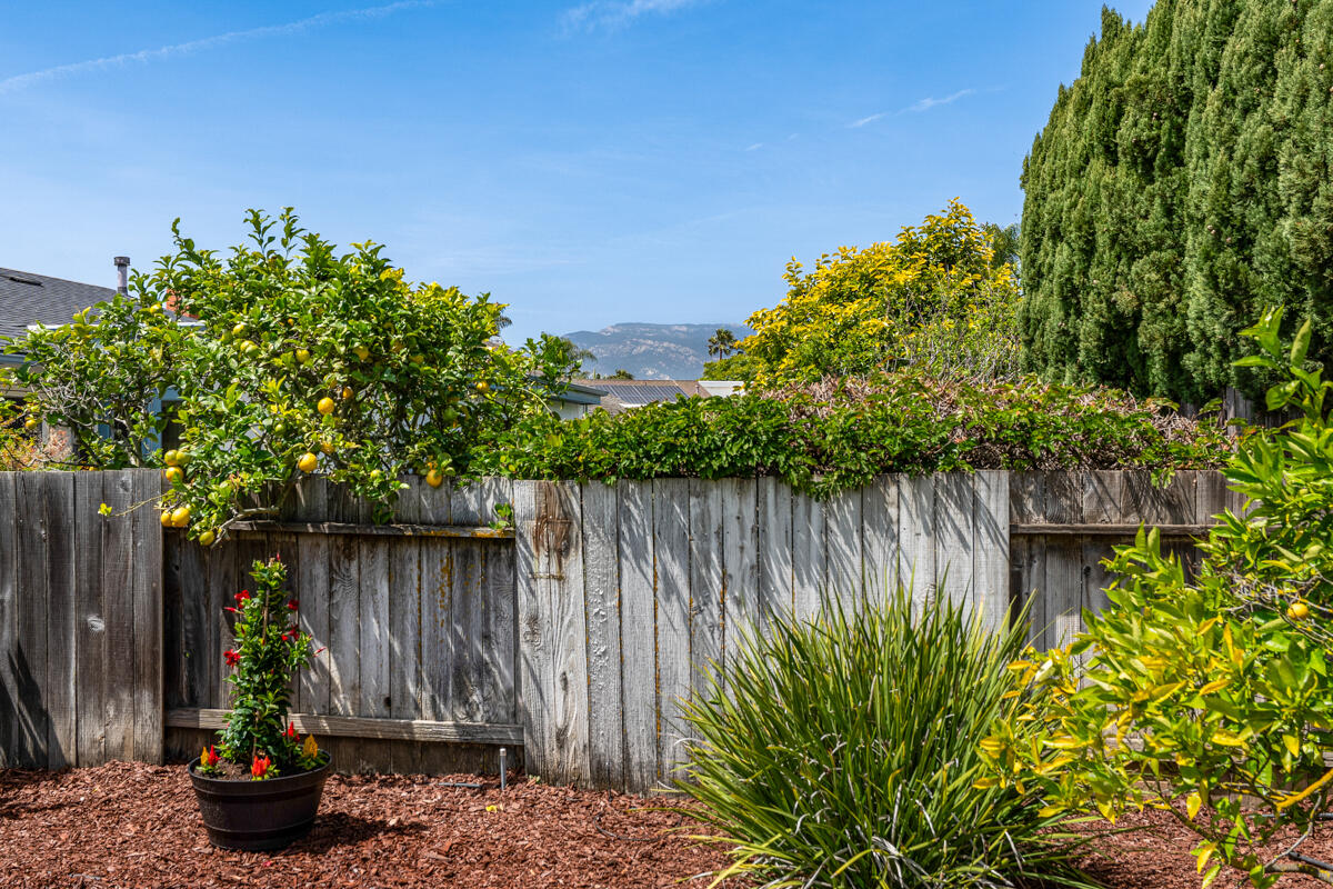 480 Reed Court Goleta, CA 93117 - Photo 39 of 41 _ROY3617