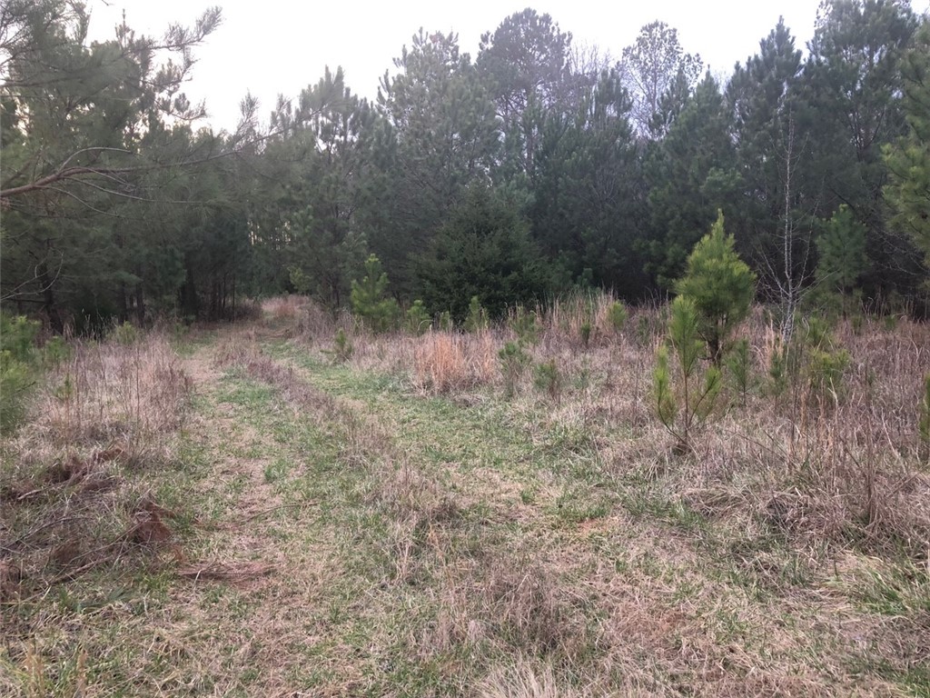 980 Opry House Road Starr, SC 29684 - Photo 1 of 9 Gallery Image 1