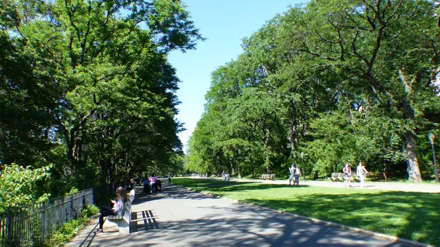 a view of a park with plants and trees