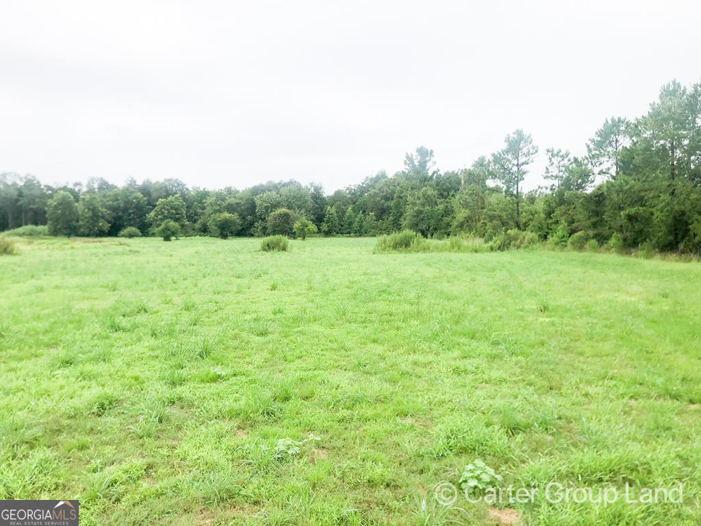 0 Amy Beck Road Jesup, GA 31545 - Photo 1 of 1 Main View
