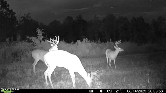 $313,600 | 0 Ebenezer Church Road, Bassfield, MS 39421