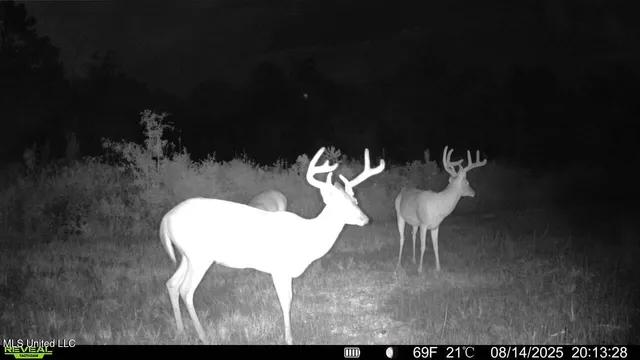 $313,600 | 0 Ebenezer Church Road, Bassfield, MS 39421