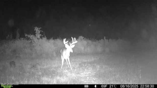 $313,600 | 0 Ebenezer Church Road, Bassfield, MS 39421