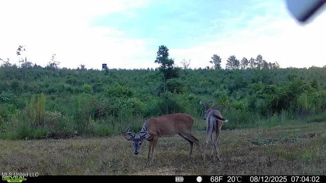 $313,600 | 0 Ebenezer Church Road, Bassfield, MS 39421