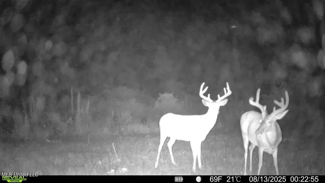 $313,600 | 0 Ebenezer Church Road, Bassfield, MS 39421