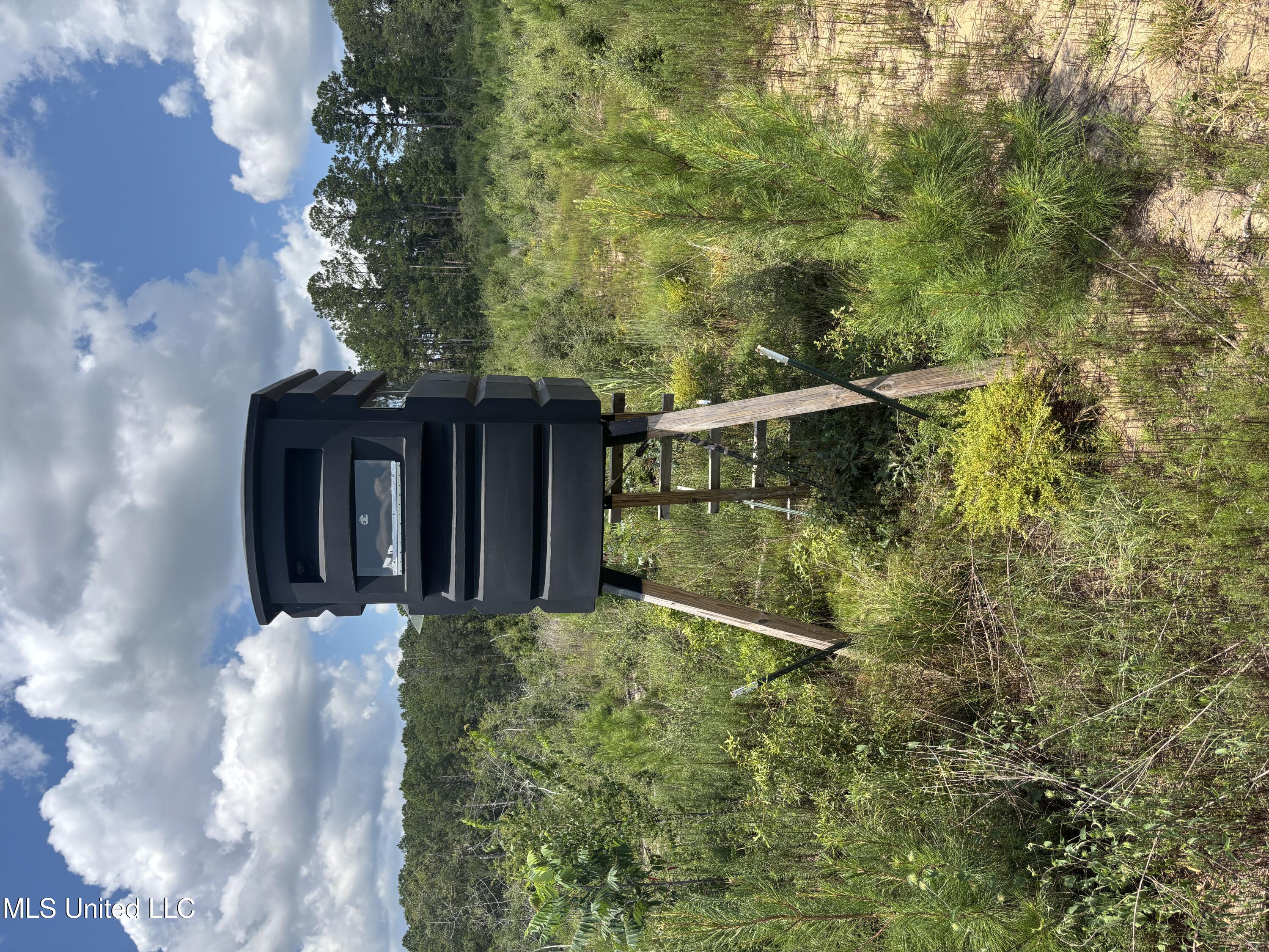 0 Ebenezer Church Road Bassfield, MS 39421 - Photo 16 of 17 IMG_1611