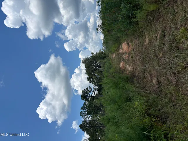 $313,600 | 0 Ebenezer Church Road, Bassfield, MS 39421