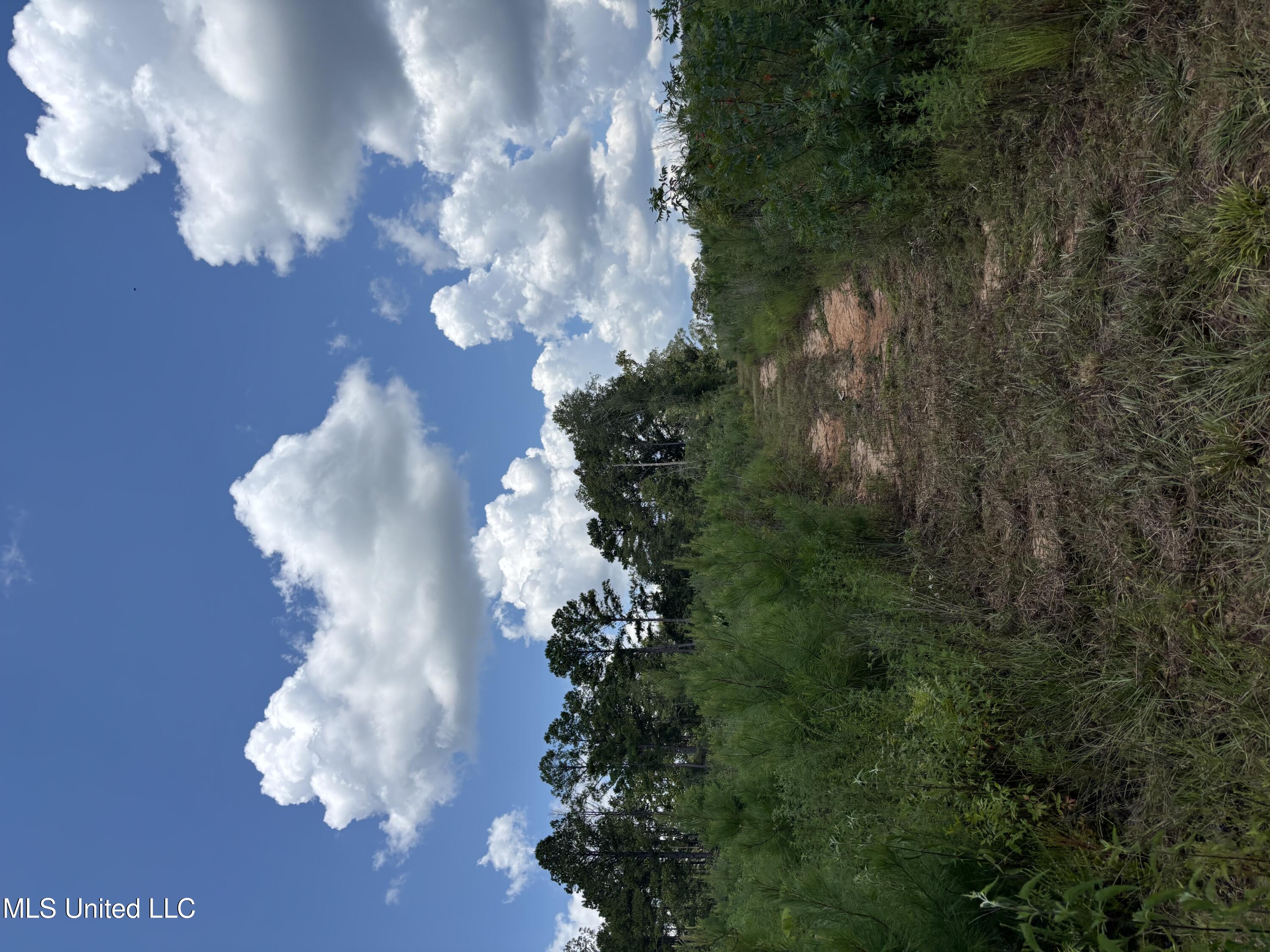 0 Ebenezer Church Road Bassfield, MS 39421 - Photo 17 of 17 IMG_1614