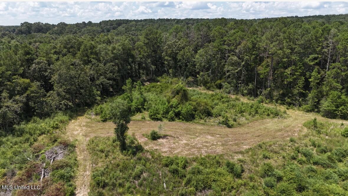 0 Ebenezer Church Road Bassfield, MS 39421 - Photo 2 of 17 food plot