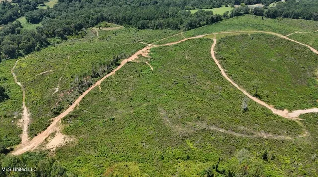 $313,600 | 0 Ebenezer Church Road, Bassfield, MS 39421