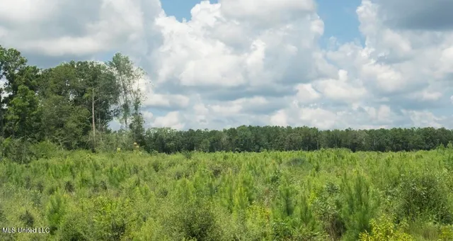 $313,600 | 0 Ebenezer Church Road, Bassfield, MS 39421