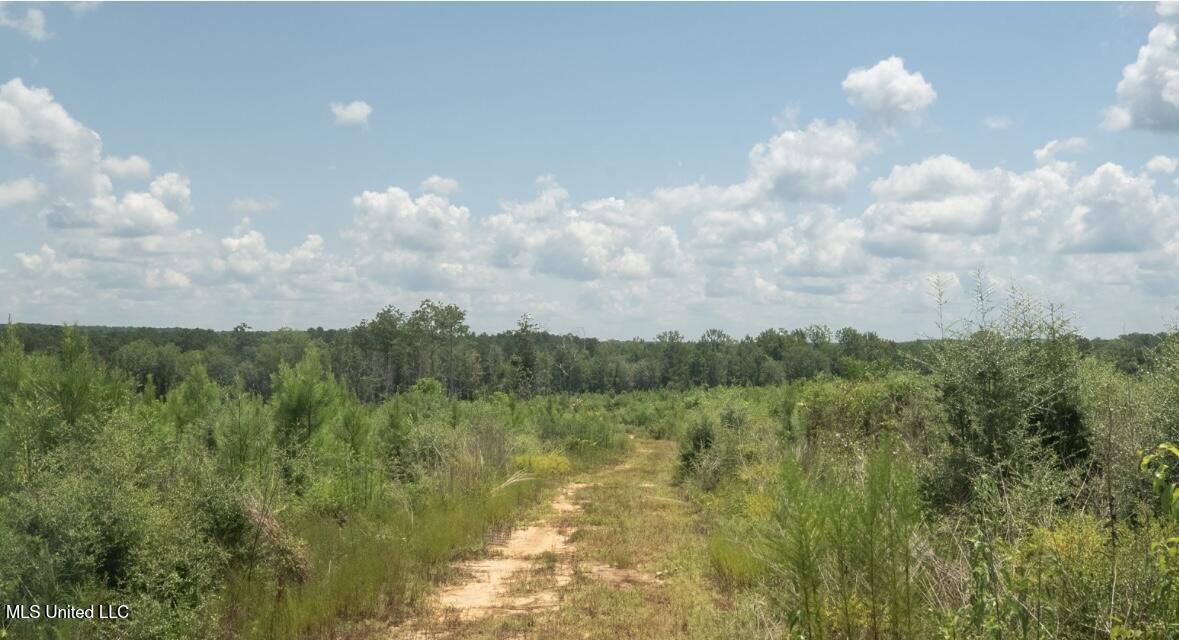 0 Ebenezer Church Road Bassfield, MS 39421 - Photo 5 of 17 trail