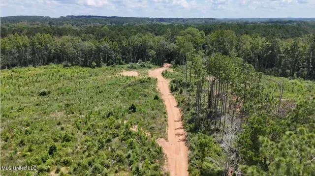 $313,600 | 0 Ebenezer Church Road, Bassfield, MS 39421