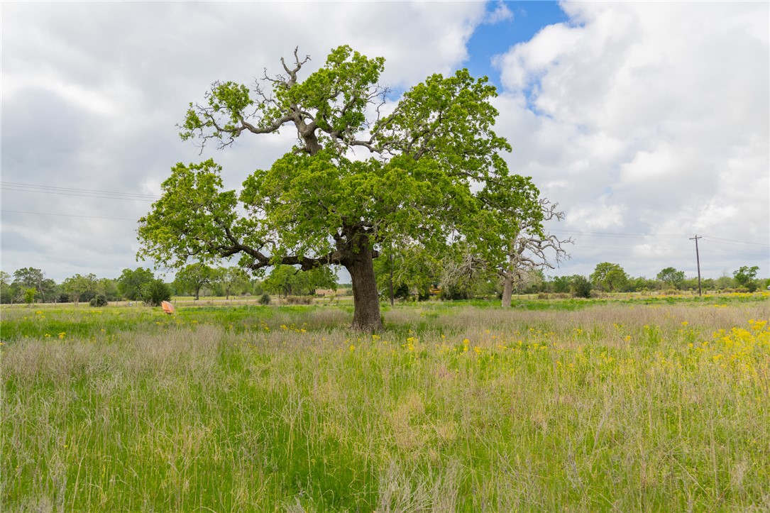 2222 Fm 974 Bryan, TX 77808 - Photo 10 of 10 a view of lake with green space