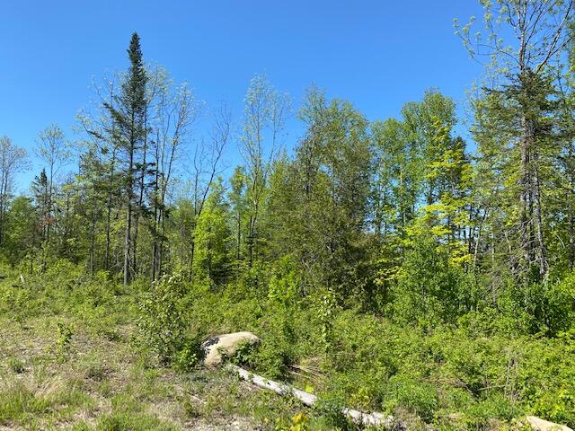 L4 Greenville Road Monson, ME 04464 - Photo 1 of 6 IMG_5149