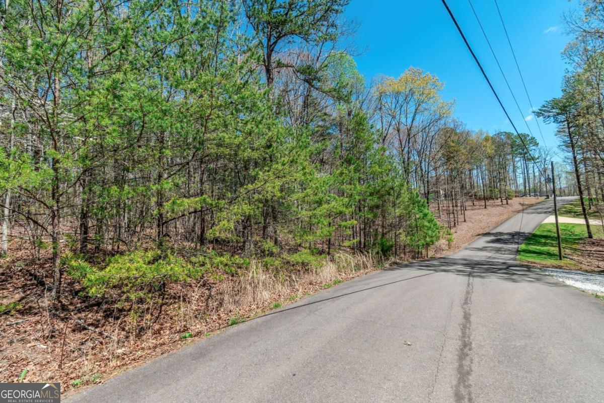 Lot 16 Country Hills Road, Unit 16 Ellijay, GA 30540 - Photo 1 of 1 Gallery Image 1