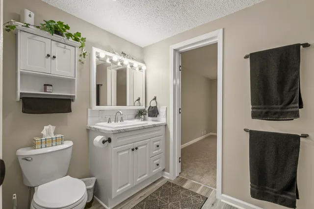 a bathroom with a toilet a sink and a mirror