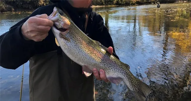 $599,000 | 33 Spruce Drive, Suches, GA 30572