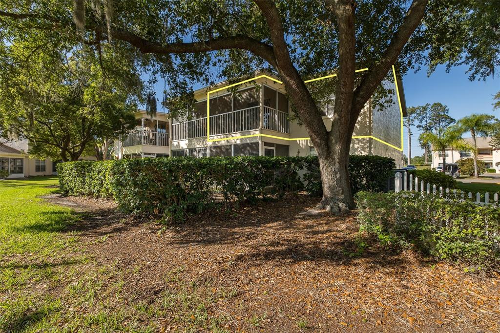 7900 Hardwick Drive, Unit 827 New Port Richey, FL 34653 - Photo 24 of 27 a view of a house with a tree in the yard