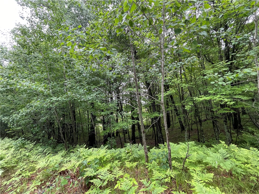 0 Loon Lake Road Spooner, WI 54801 - Photo 26 of 28
