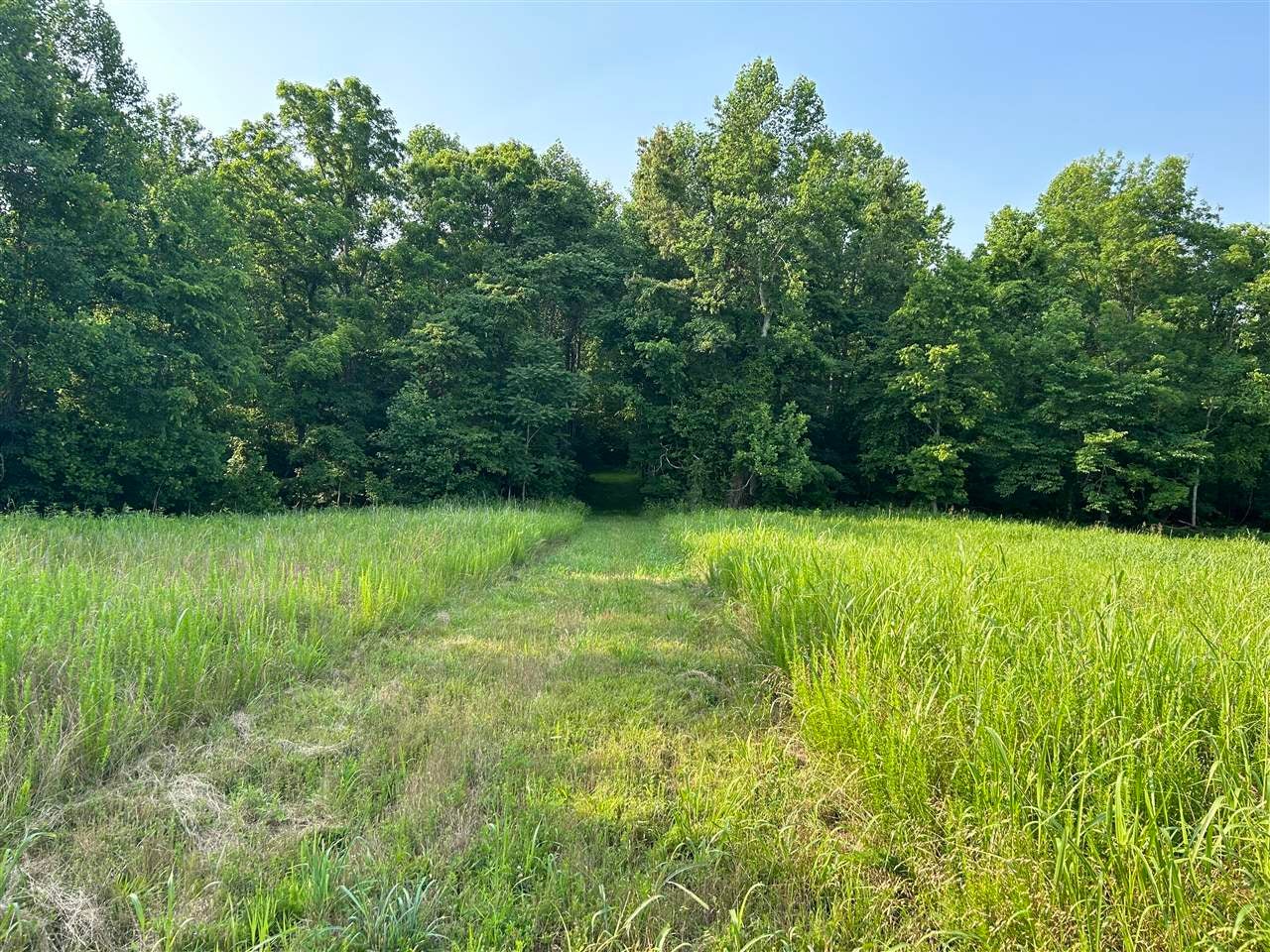 O Guy Jones Road Smiths Grove, KY 42171 - Photo 13 of 34 Gallery Image 13