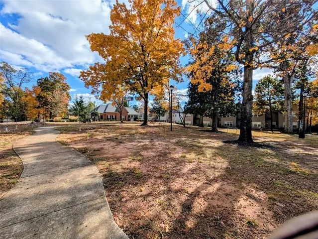 a view of a back yard