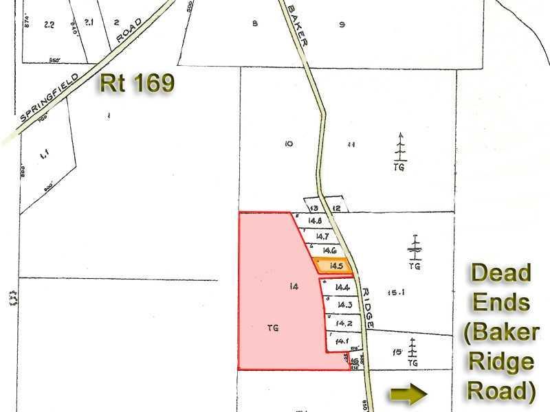 Lot 5 Baker Ridge Road Danforth, ME 04424 - Photo 2 of 21 Exterior Front. The Layout.