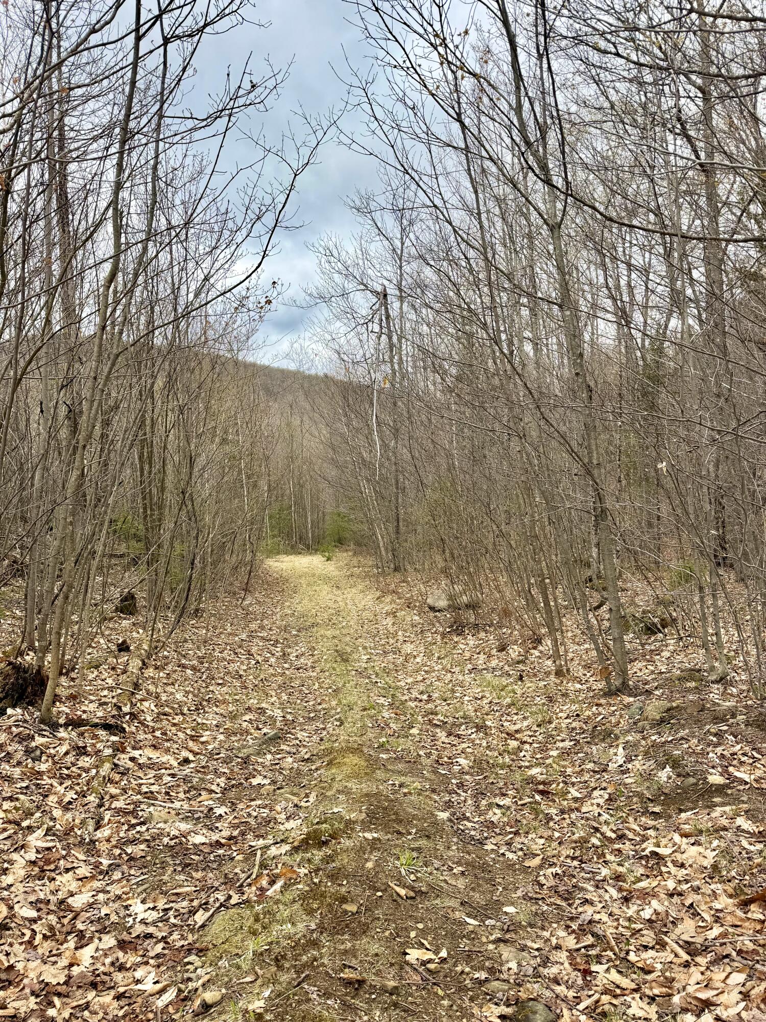 Lot 2 Mooseley Ridge Road Phillips, ME 04966 - Photo 18 of 24