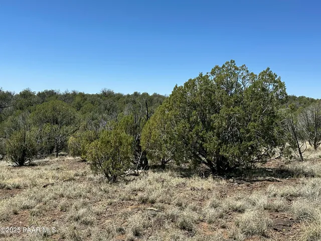 $39,000 | 1422 Murdo Way, Ash Fork, AZ 86320