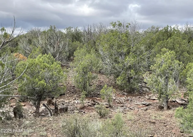 $39,000 | 1422 Murdo Way, Ash Fork, AZ 86320