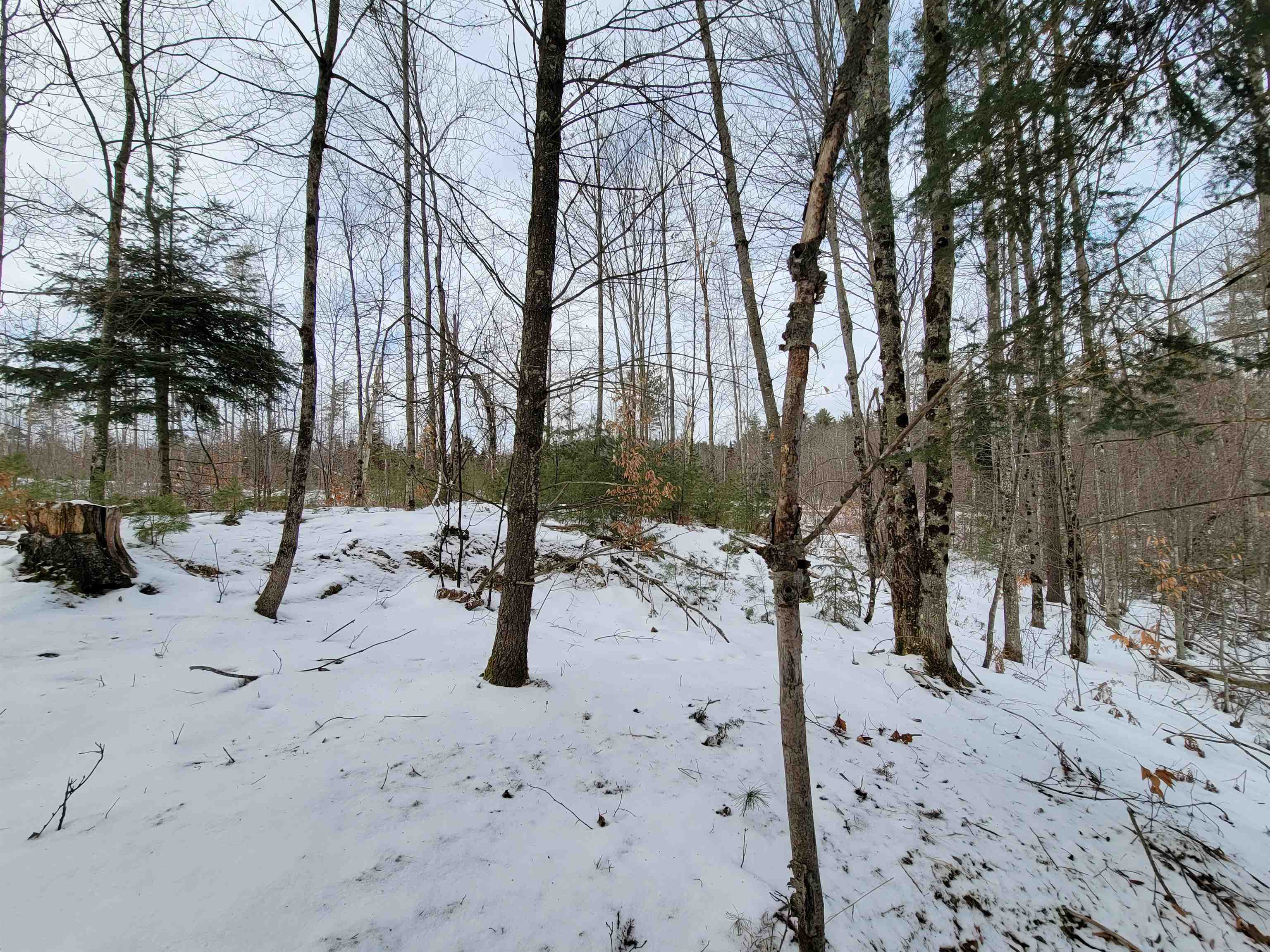 Lot 4-20 West Bath Road Bath, NH 03740 - Photo 11 of 40 Gallery Image 11