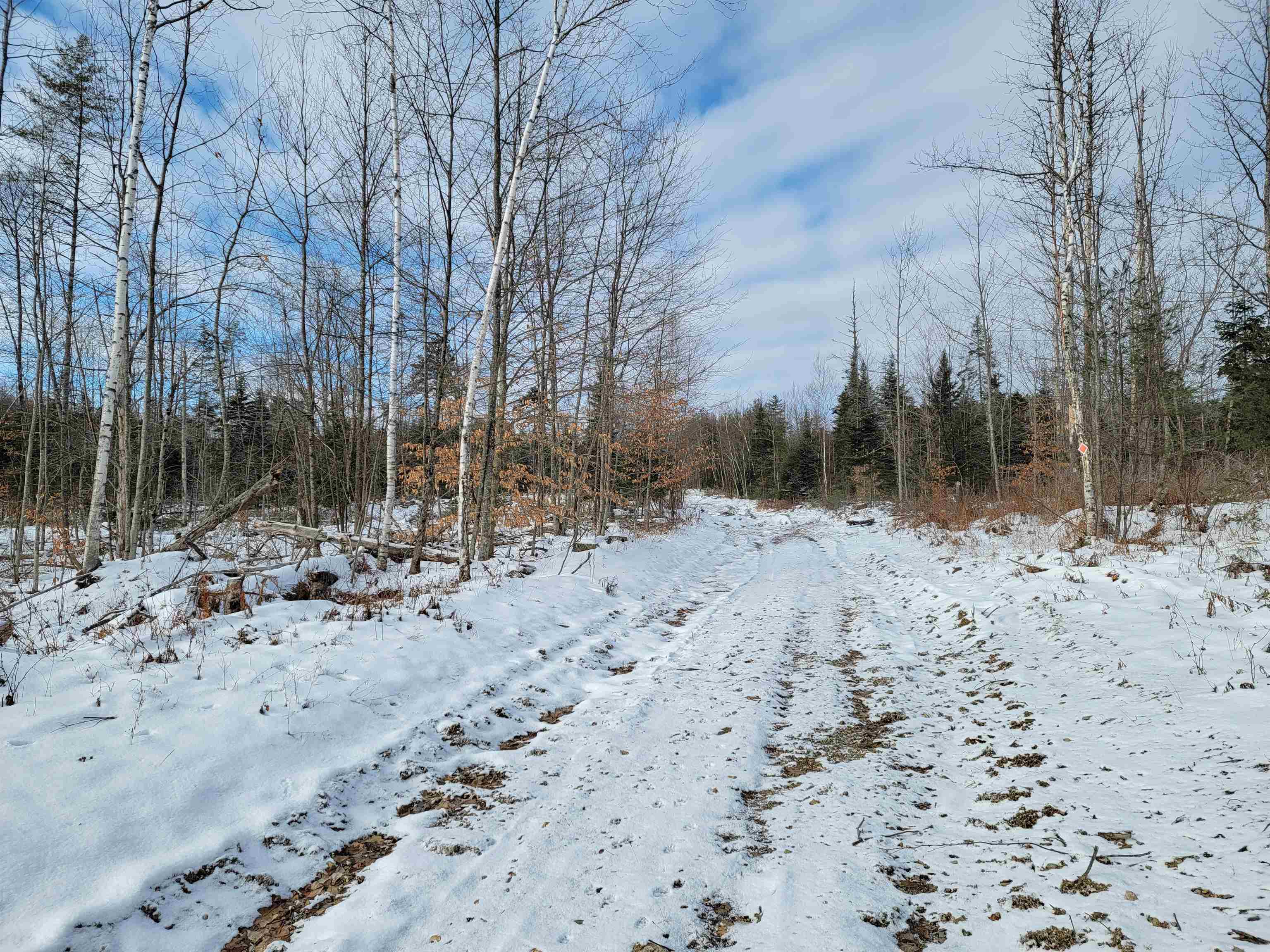 Lot 4-20 West Bath Road Bath, NH 03740 - Photo 13 of 40 Gallery Image 13