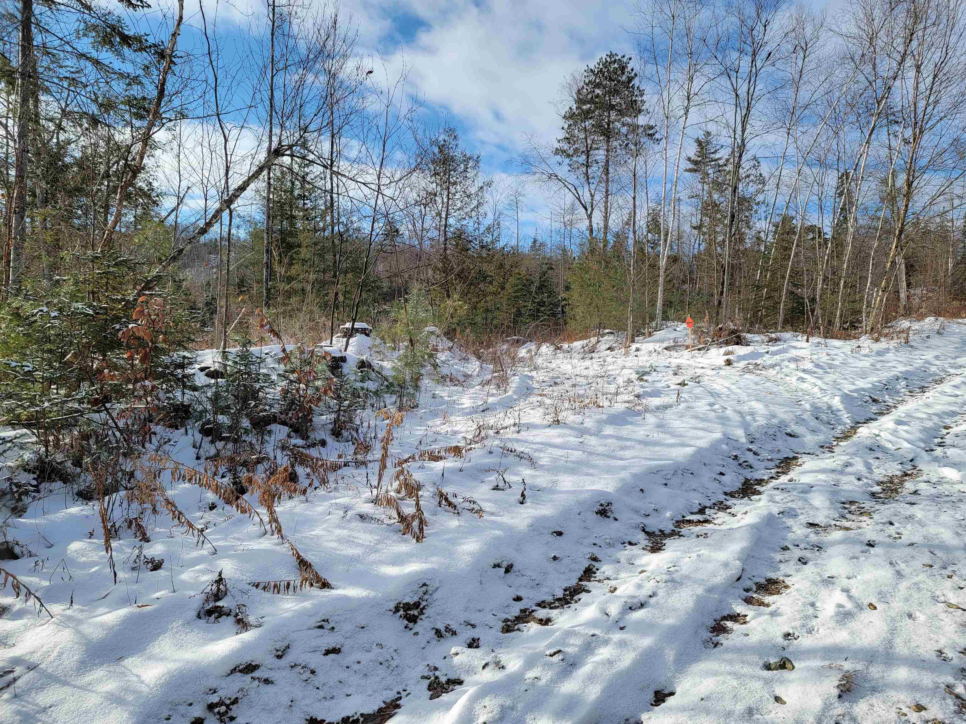Lot 4-20 West Bath Road Bath, NH 03740 - Photo 20 of 40 Gallery Image 20