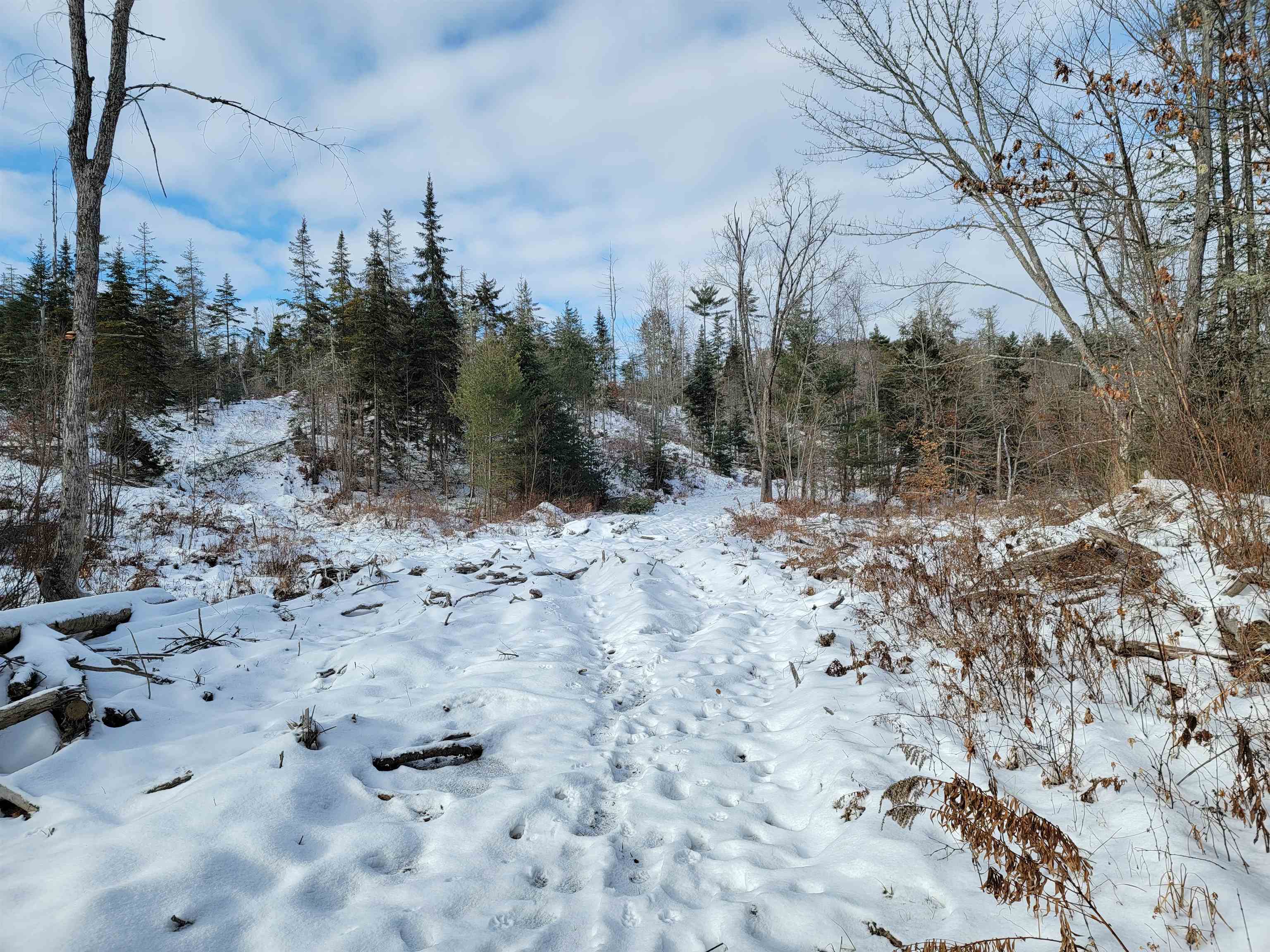 Lot 4-20 West Bath Road Bath, NH 03740 - Photo 23 of 40 Gallery Image 23