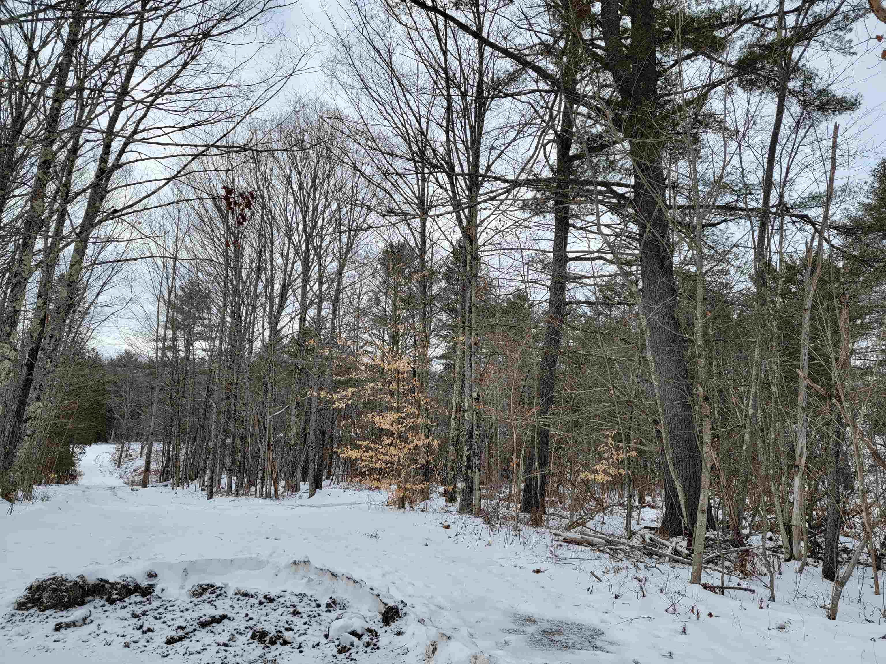 Lot 4-20 West Bath Road Bath, NH 03740 - Photo 3 of 40 Gallery Image 3