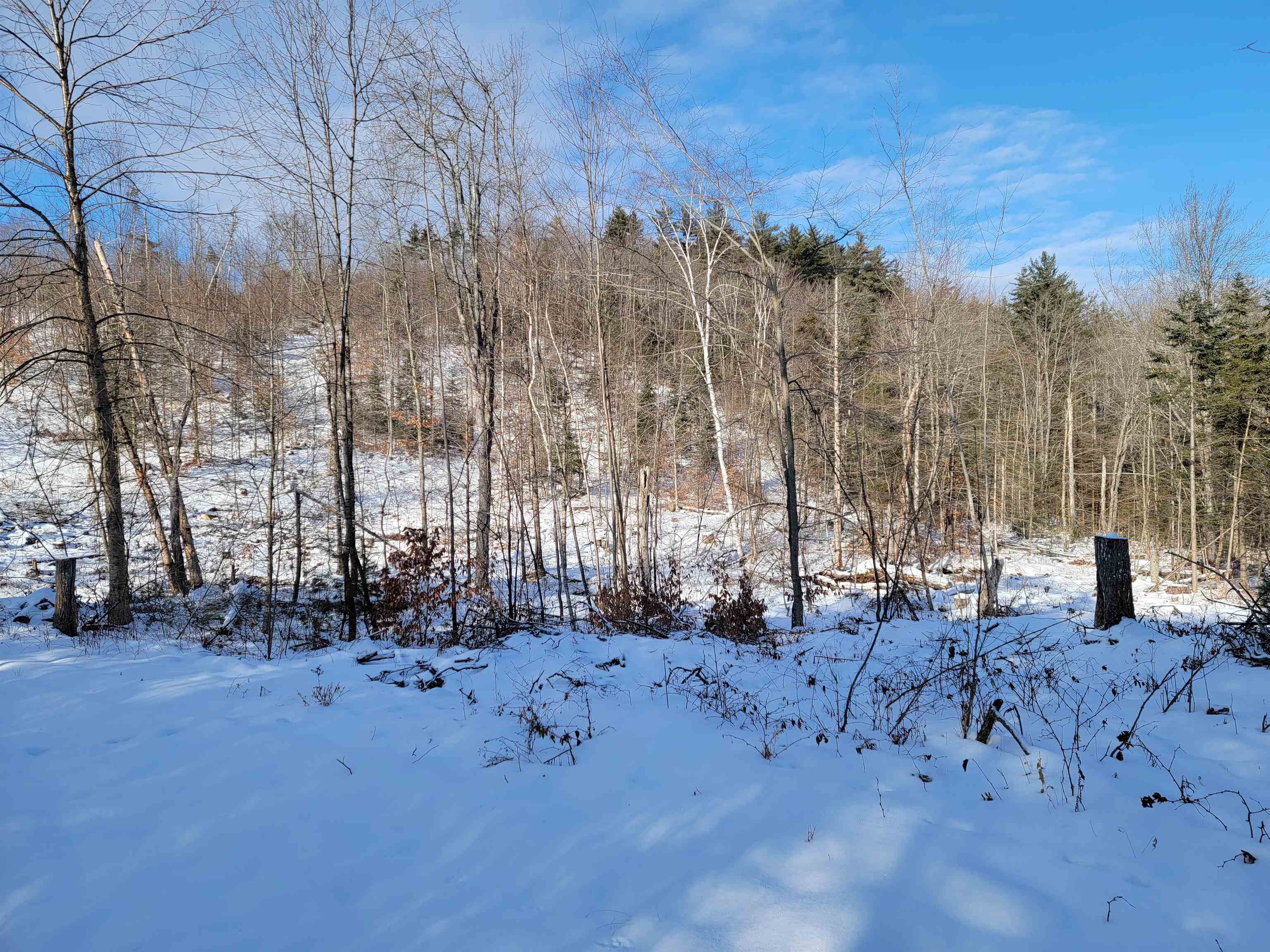 Lot 4-20 West Bath Road Bath, NH 03740 - Photo 31 of 40 Gallery Image 31