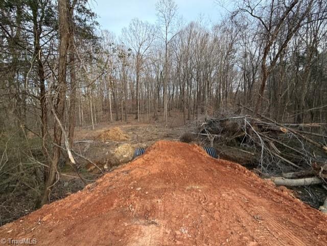 0 Booker T Womble Road Randleman, NC 27317 - Photo 2 of 3 Driveway
