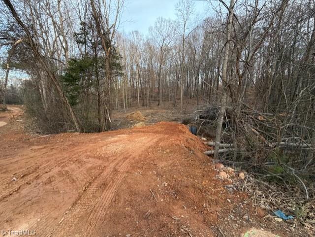 0 Booker T Womble Road Randleman, NC 27317 - Photo 3 of 3