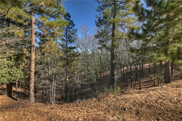 a view of a house with a tree next to a road