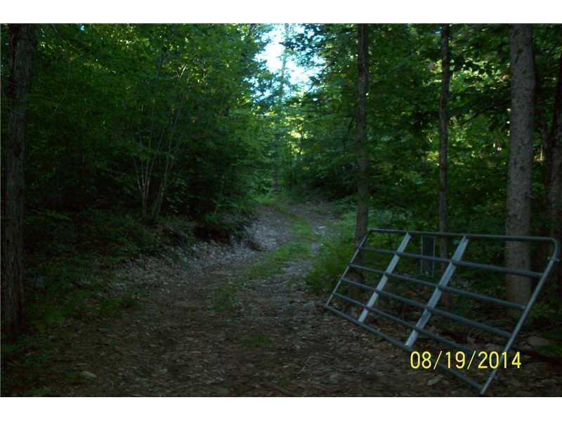 Tbd Dam Road Porter, ME 04068 - Photo 5 of 7 Other.