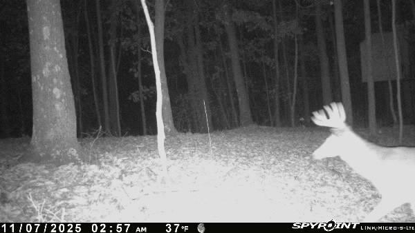 33509 Clipner Road Londonderry, OH 45647 - Photo 35 of 46 Image-1