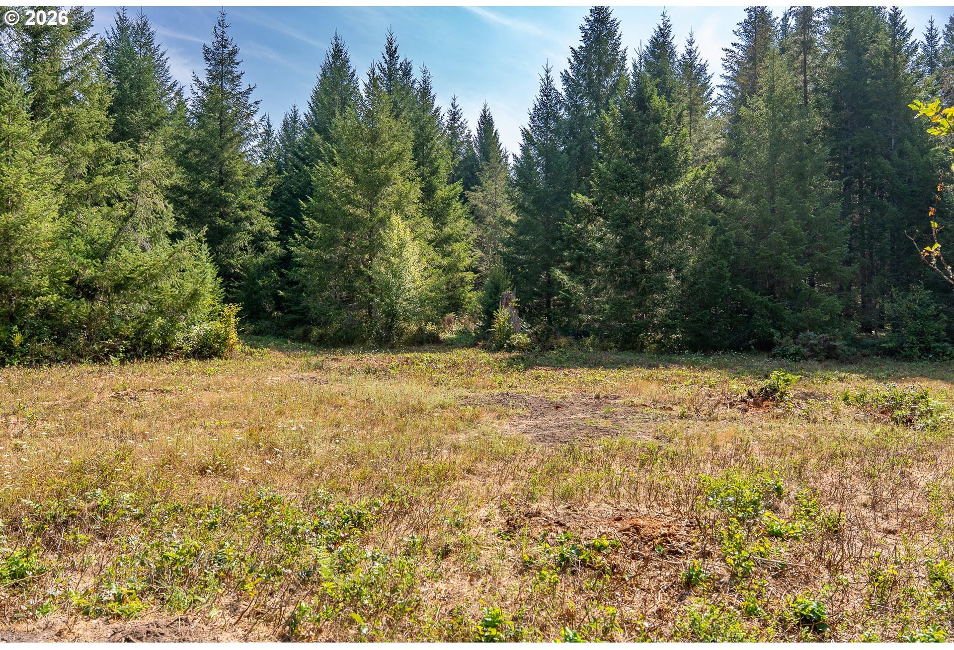 Hawk Meadows Road, Unit 4 Carson, WA 98610 - Photo 5 of 46 Gallery Image 5