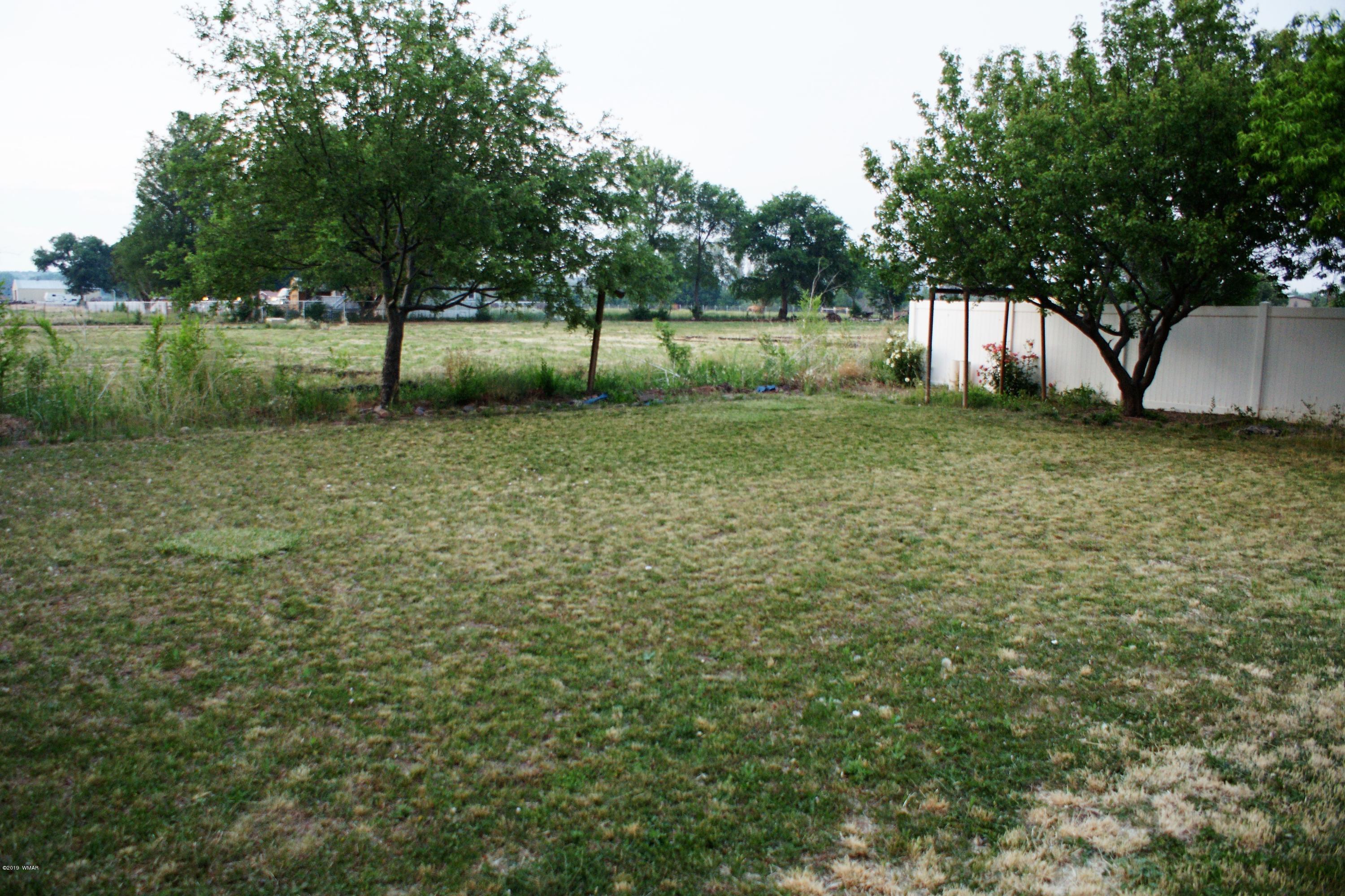 232 North 4th W Street Snowflake, AZ 85937 - Photo 15 of 36