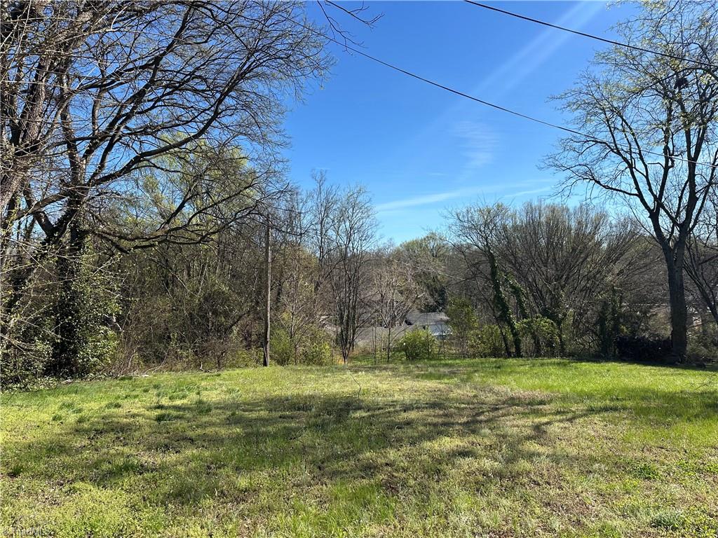 406 Dunbar Street Lexington, NC 27292 - Photo 21 of 23 Spacious backyard