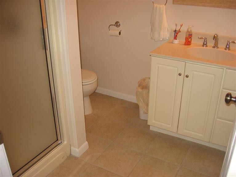 7450 Chamberlin Road Dexter, MI 48130 - Photo 12 of 36 Master Bath with Shower and Tiled Floor.