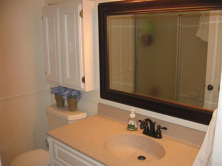 7450 Chamberlin Road Dexter, MI 48130 - Photo 19 of 36 Main Bath. New Mirror & Faucet.