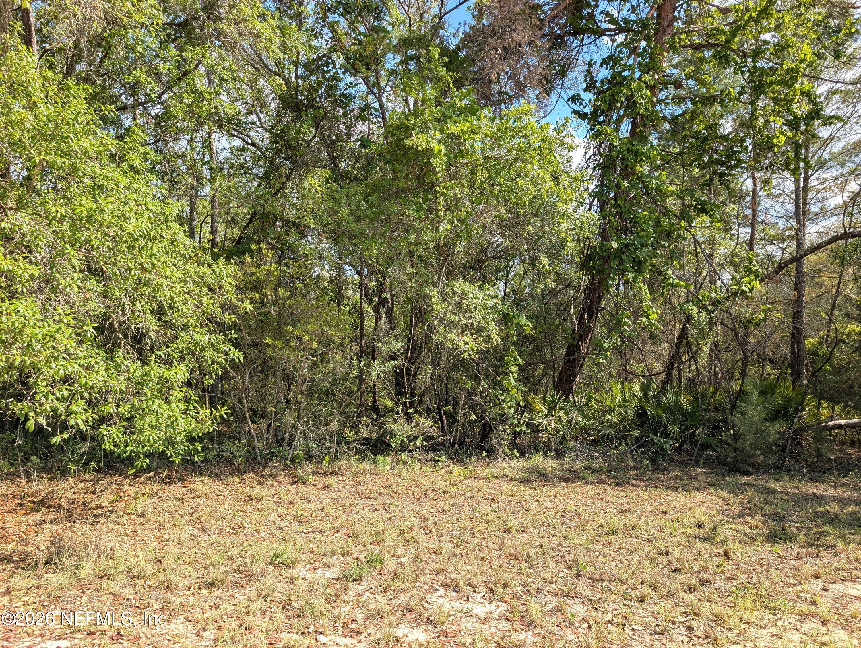 5813 Bryce Street Keystone Heights, FL 32656 - Photo 1 of 15 a view of a yard with a tree