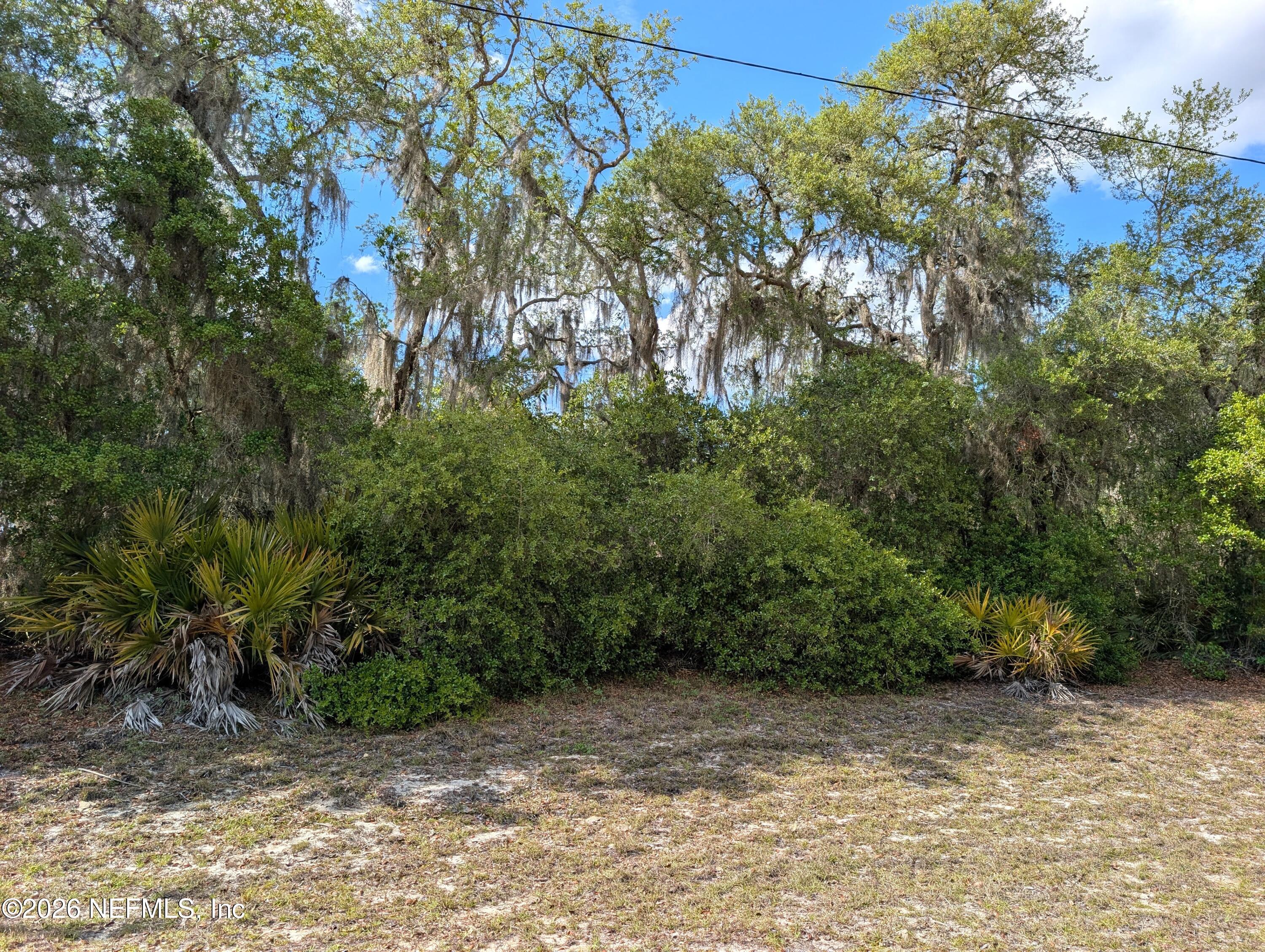 5813 Bryce Street Keystone Heights, FL 32656 - Photo 2 of 15 a view of a field with plants and trees