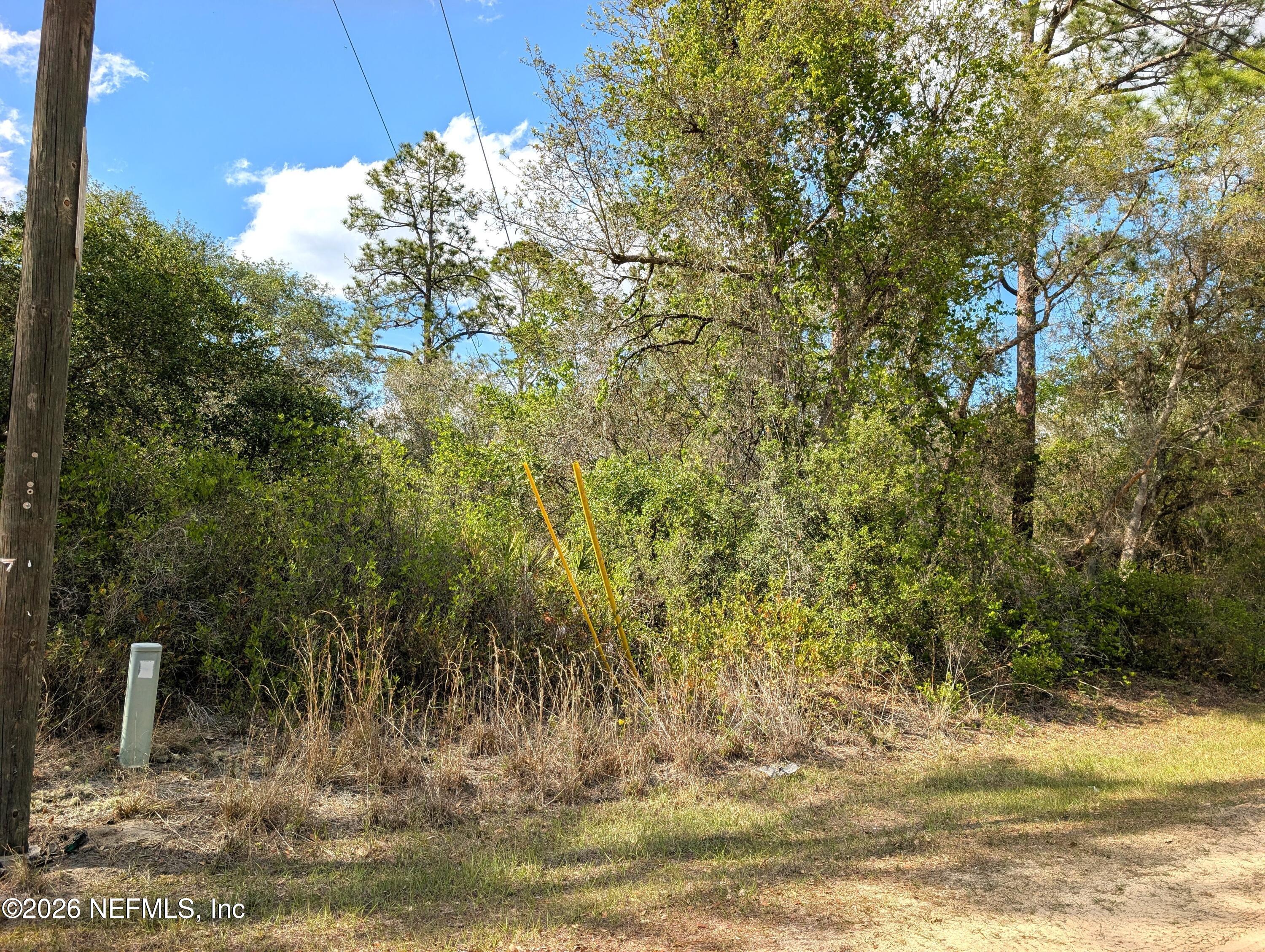 5813 Bryce Street Keystone Heights, FL 32656 - Photo 3 of 15 a view of a yard