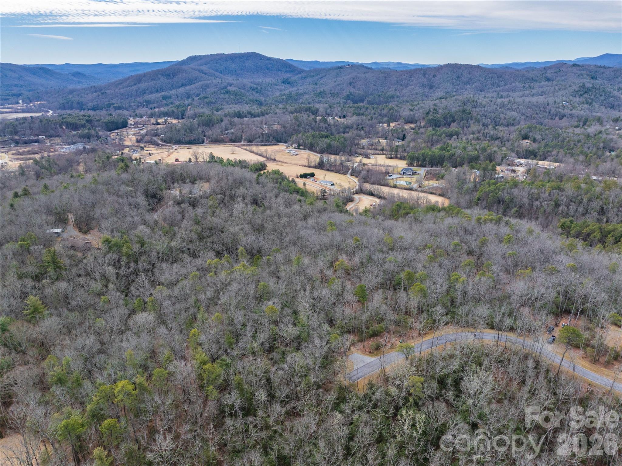 3 Turtle Rdg Trail Mills River, NC 28759 - Photo 15 of 16 a view of a lush green field with lots of bushes